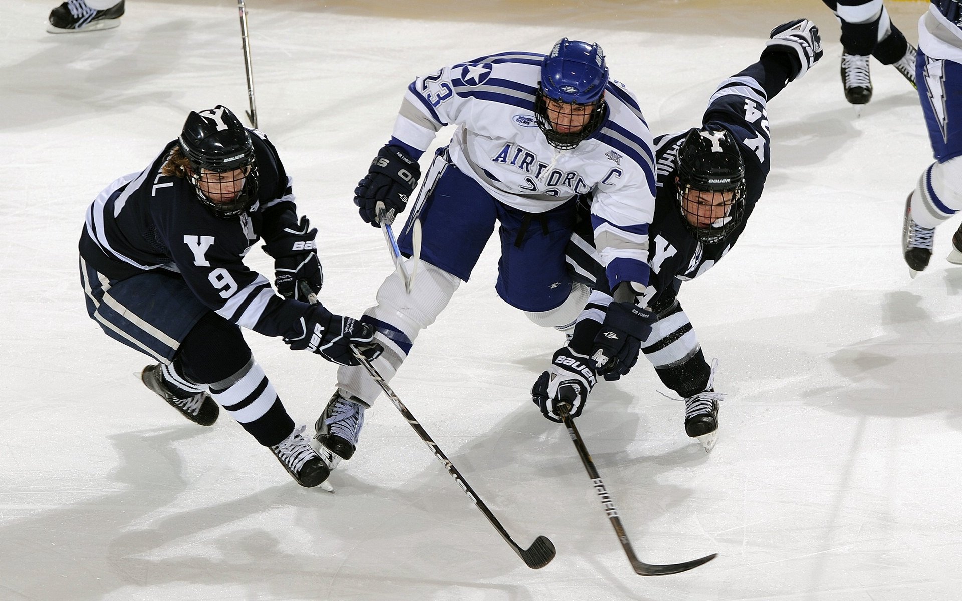 体育展会推动跨界合作项目落地，体育赛事展会